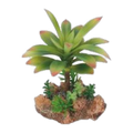 Eco Tech Flowering Cajun Cactus 13cm