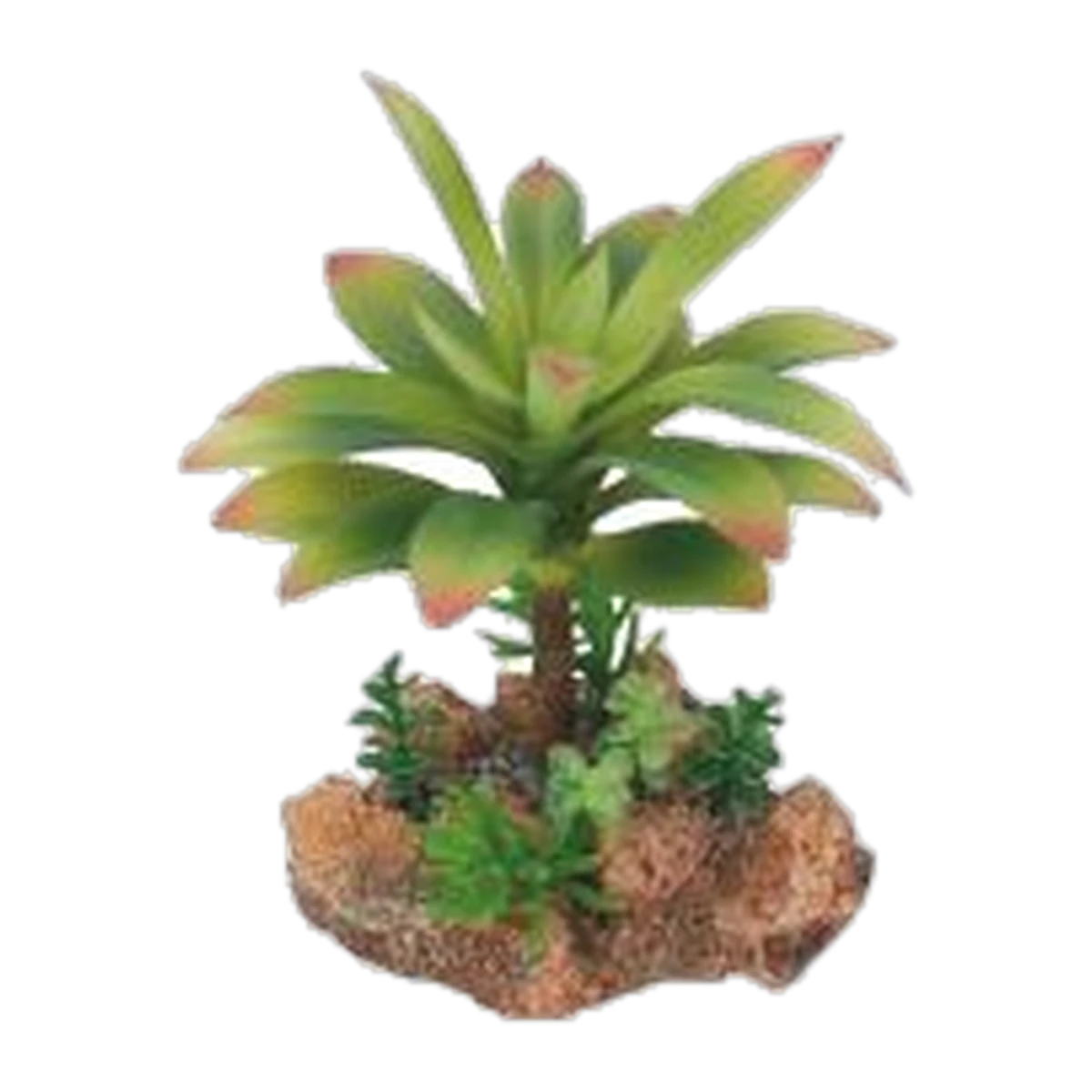 Eco Tech Flowering Cajun Cactus 13cm