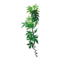 Eco Tech Hanging Abutilon w/Vine 60cm