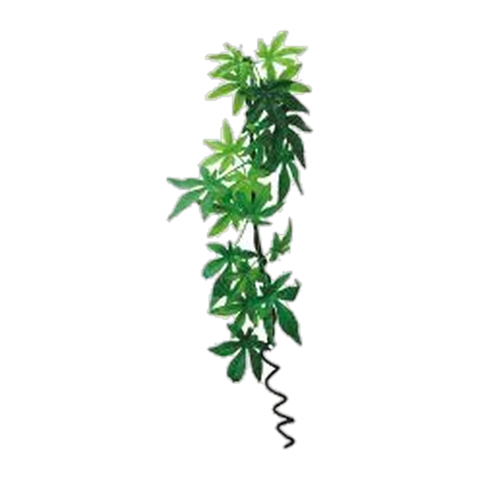 Eco Tech Hanging Abutilon w/Vine 60cm