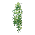 Eco Tech Hanging Albuliton 80cm