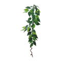 Eco Tech Hanging Ficus w/Vine 60cm