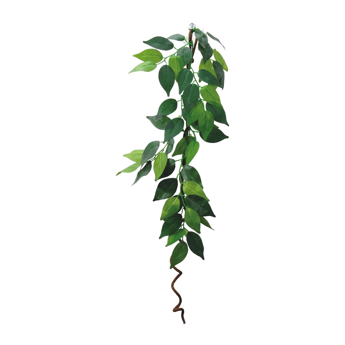Eco Tech Hanging Ficus w/Vine 60cm