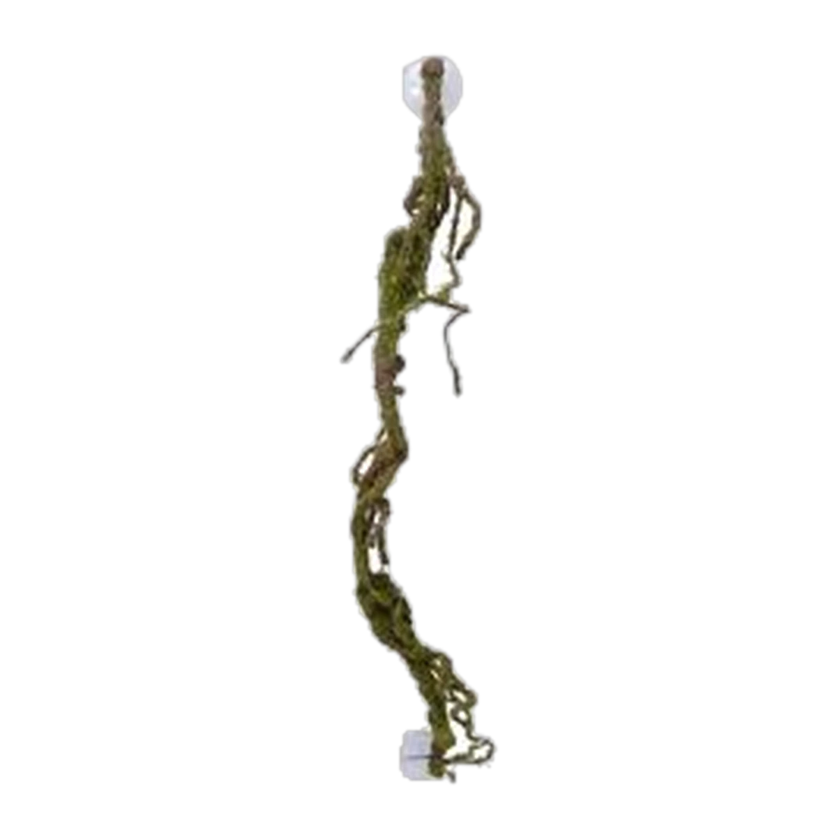Eco Tech Multiple Twist Vines w/Moss Lichen 80cm