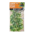 Eco Tech Pothos