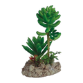 Eco Tech Twin Cactus Unit 12cm