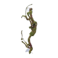 Eco Tech Twisted Vine w/Moss Ball 40cm