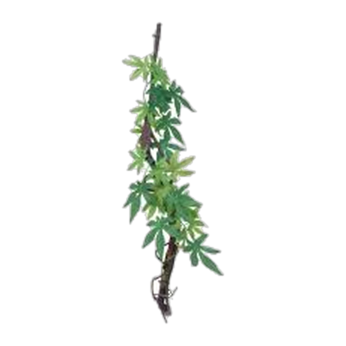 Eco Tech Vine w/Abutilon Growth