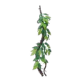 Eco Tech Vine w/Ficus Growth