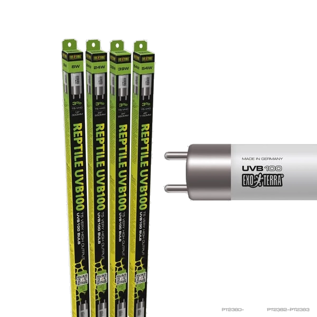 EXO Reptile UVB100 T5 Bulb 8w 12'