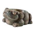 Exo Terra Aztec Frog
