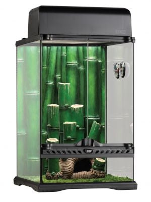 Exo Terra Bamboo Forest Large Terrarium