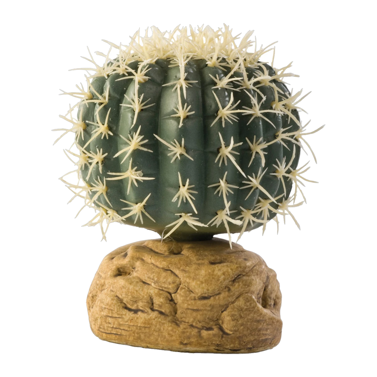Exo Terra Barrel Cactus Small 7cm