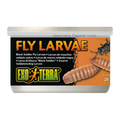 Exo Terra Black Solder Fly Larvae 34gm