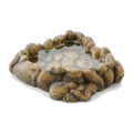 Exo Terra Corner Water Dish Medium
