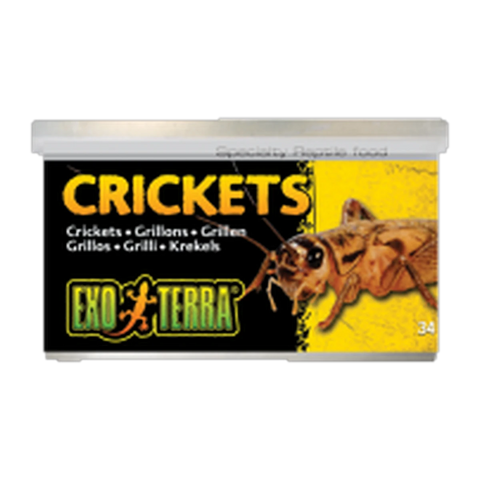 Exo Terra Crickets Small 34gm 1.2 oz