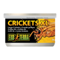 Exo Terra Crickets XLarge 34gm 1.2oz