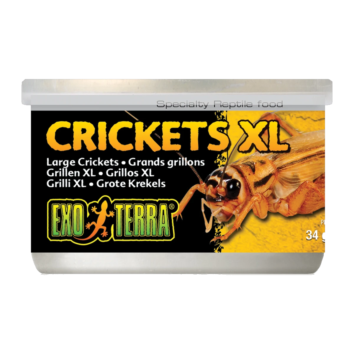 Exo Terra Crickets XLarge 34gm 1.2oz