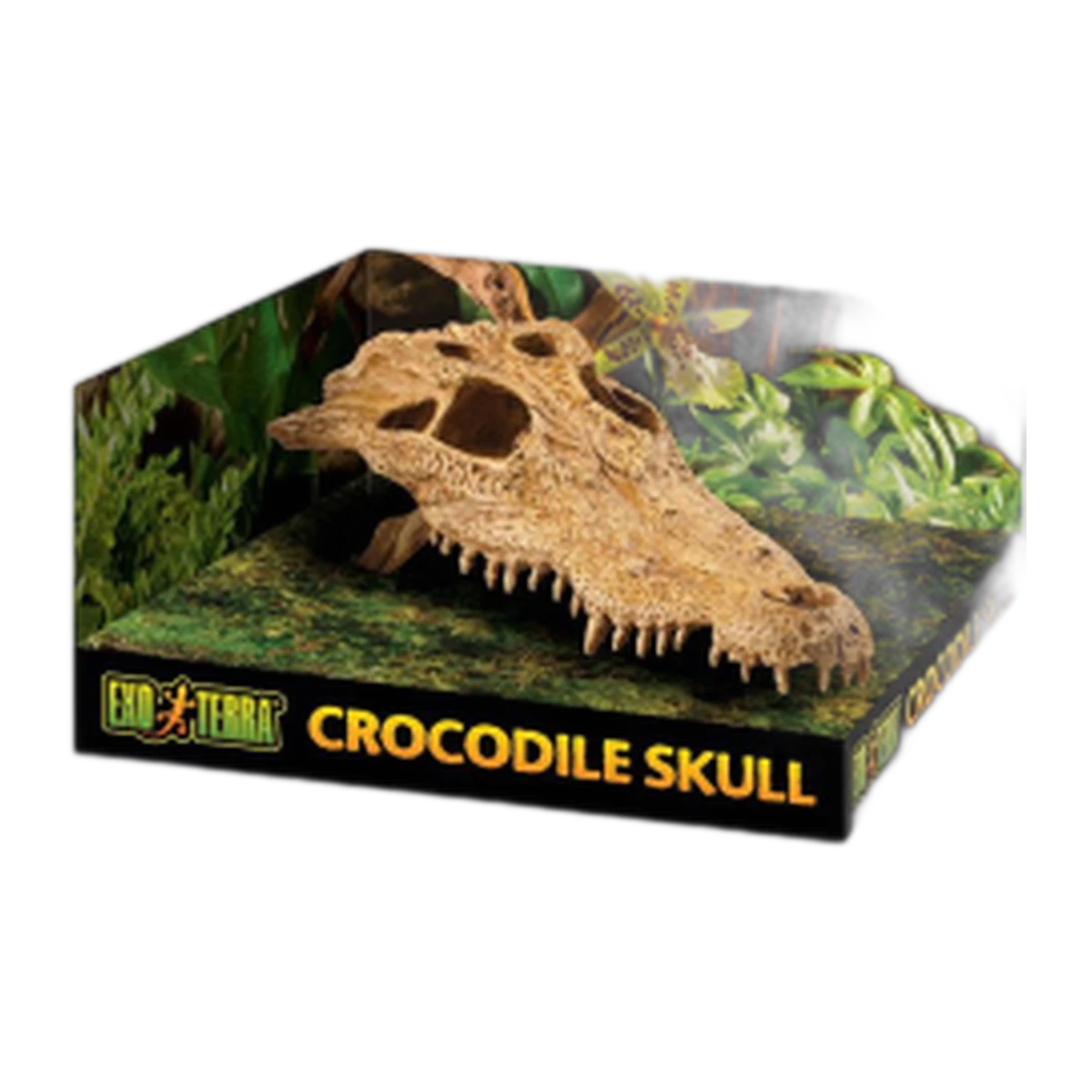 Exo Terra Crocodile Skull Medium