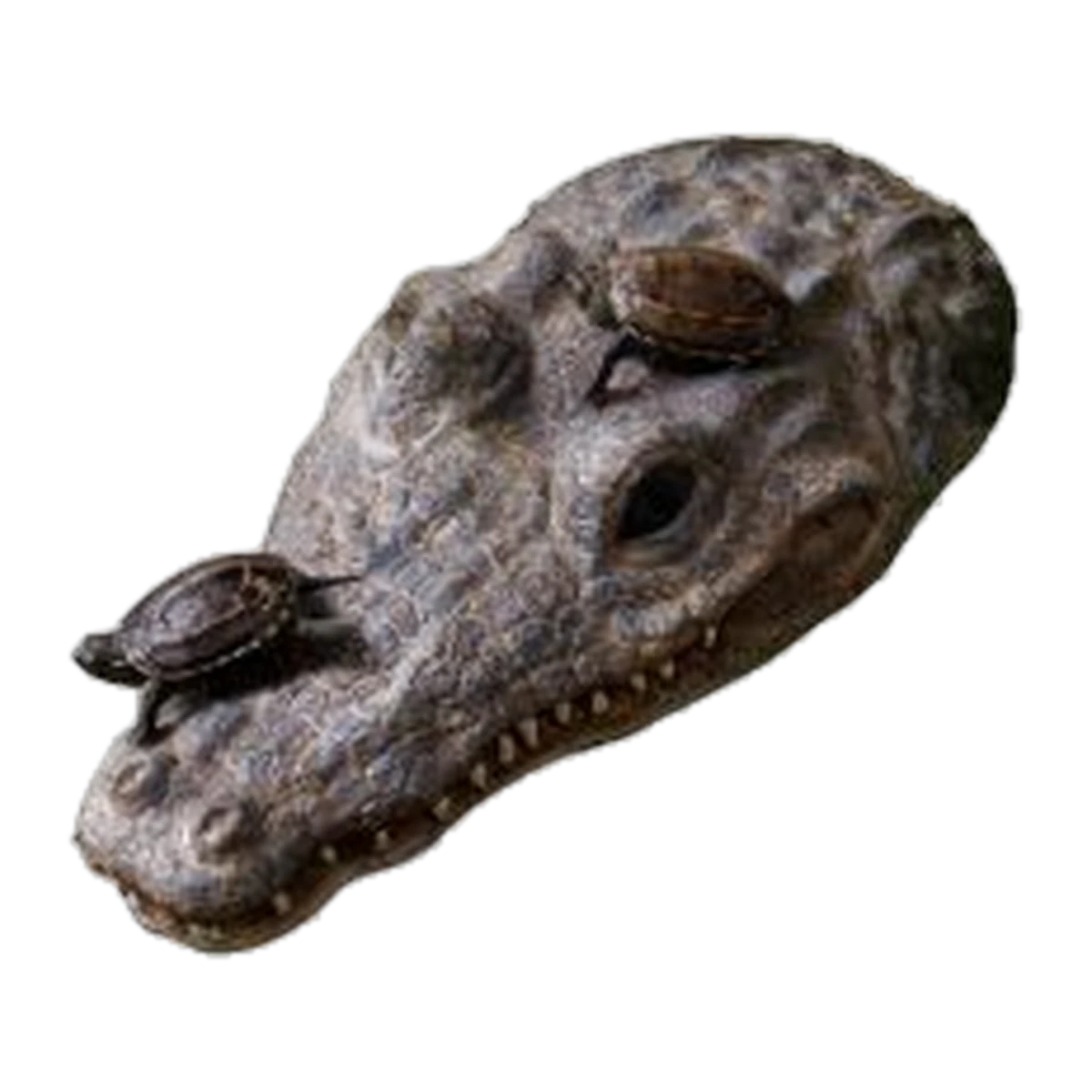 Exo Terra CrocTurtle Island