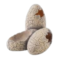 Exo Terra Dinosaur Eggs S Hideout and Water Dish