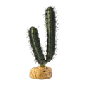 Exo Terra Finger Cactus