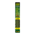 Exo Terra Forest Moss Mat Mini 30cm x 30cm