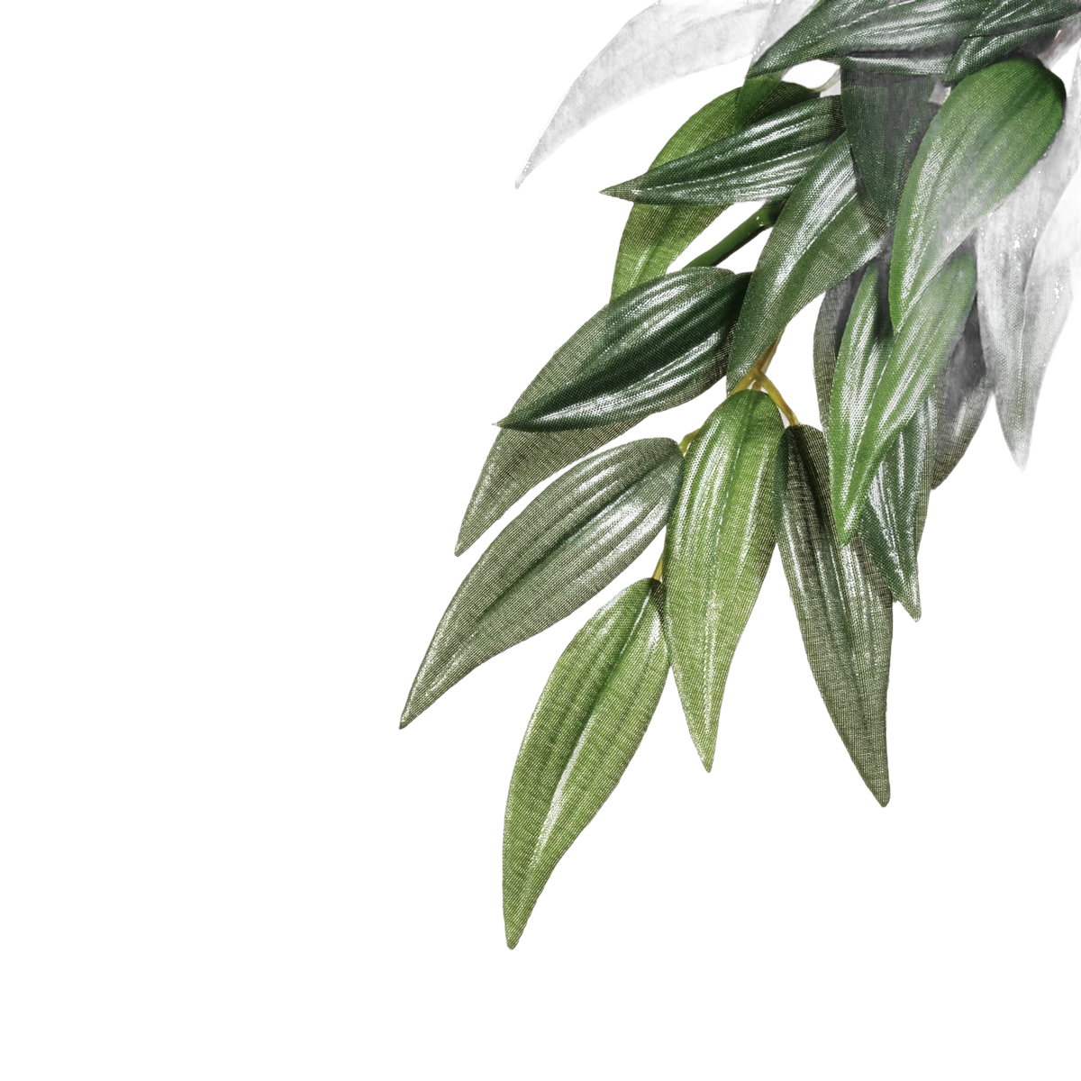 Exo Terra Forest Plant Ruscus Small