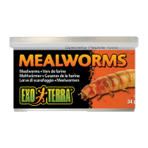 Exo Terra Mealworms 34gm 1.2oz