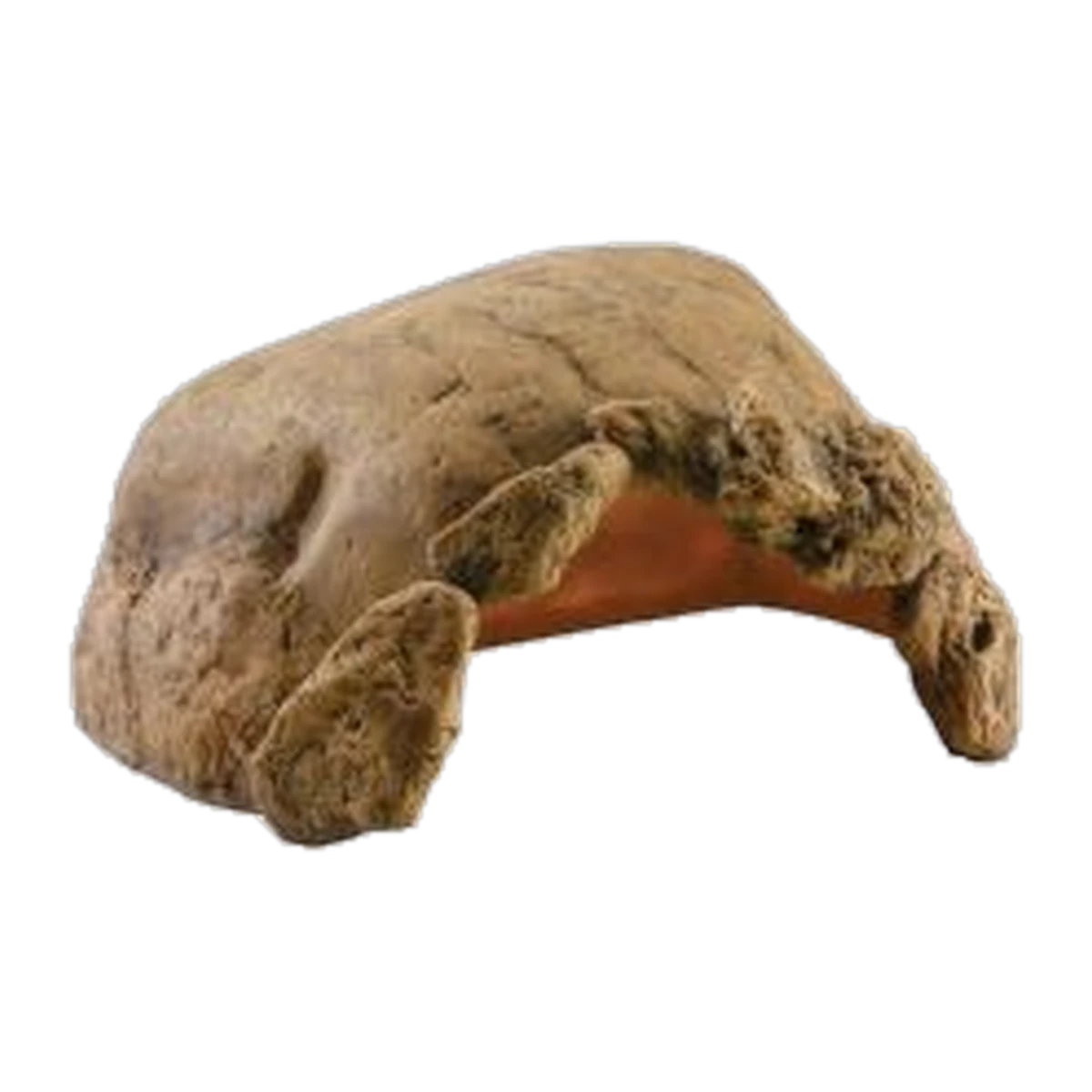 Exo Terra Reptile Cave Tortoise XXXL