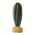 Exo Terra Saguaro Cactus 16cm Tall