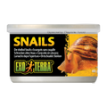 Exo Terra Snails Unshelled 48gm