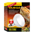 Exo Terra Solar Glo Self Ballasted UV Heat Lamp