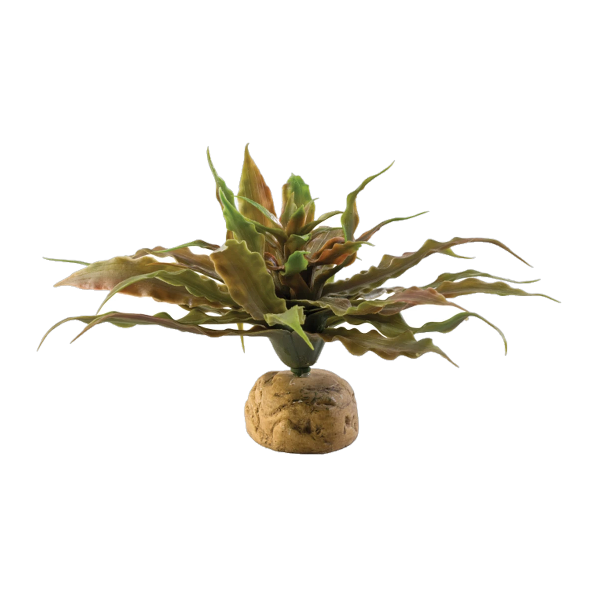 Exo Terra Star Cactus