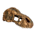 Exo Terra T Rex Skull Small