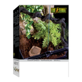 Exo Terra Terrarium Rainforest Habitat Kit Small 30 x 30 x 45cm
