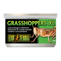 Exo Terra Wild Grasshoppers XL 34gm 1.2 oz