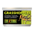 Exo Terra Wild Male Grasshoppers Small 34gm 1.2 oz