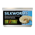 Exo Terra Wild Silkworms Medium 34gm 1.2 oz