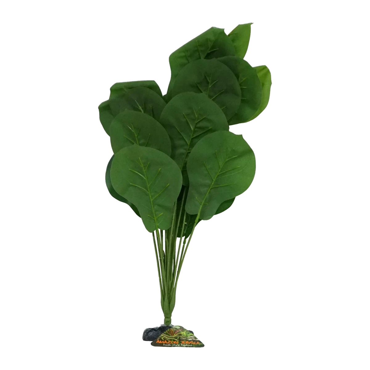 Ficus Lyrata XL 45-50cm