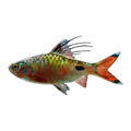 Filament Barb