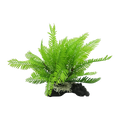 Filmy Fern M 28cm