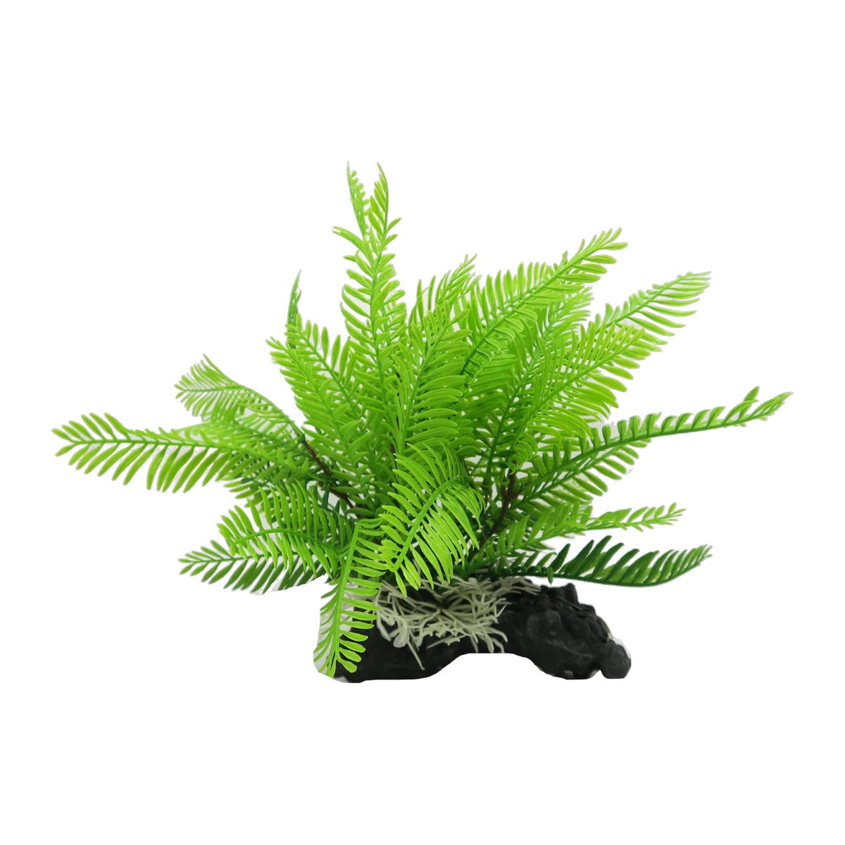 Filmy Fern M 28cm