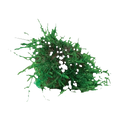 Floating Moss Ball- Fontinalis