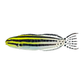 Grammistes Blenny | Meiacanthus grammistes