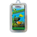 Green Seaweed (Green Marine Algae)