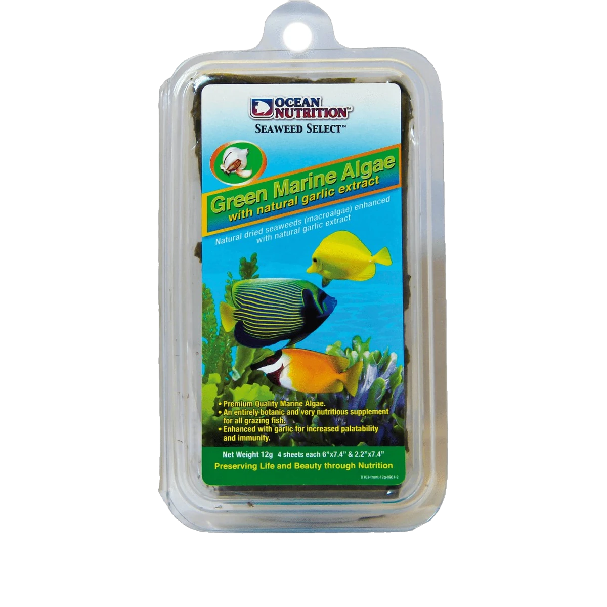 Green Seaweed (Green Marine Algae)