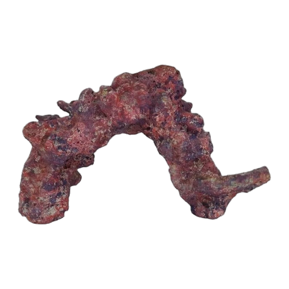 Java Reef Reef Arches Per Kg