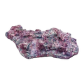 Java Reef Reef Plates Per Kg