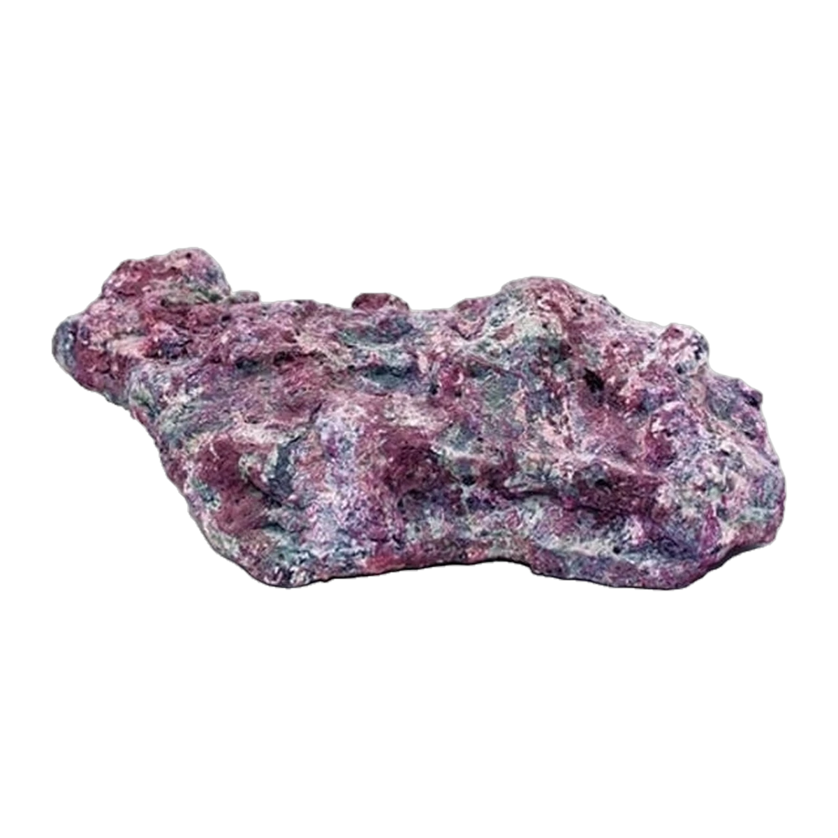Java Reef Reef Plates Per Kg